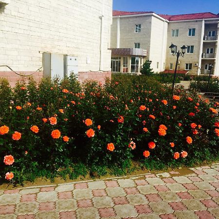 Hotel Ark Ms Taraz Esterno foto