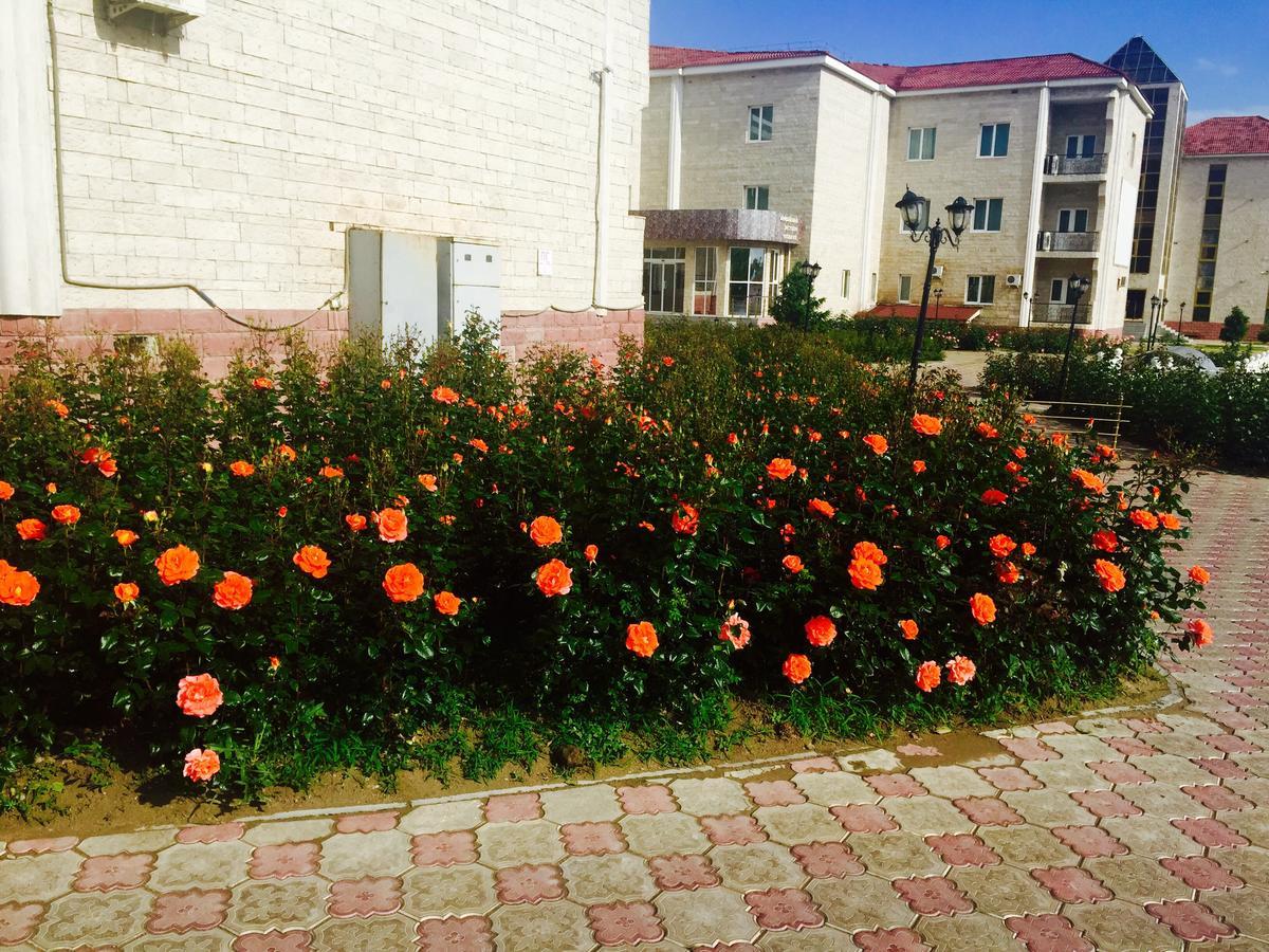 Hotel Ark Ms Taraz Esterno foto