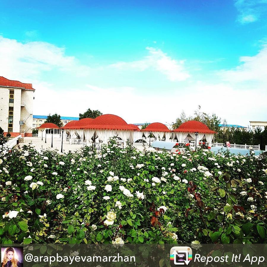 Hotel Ark Ms Taraz Esterno foto